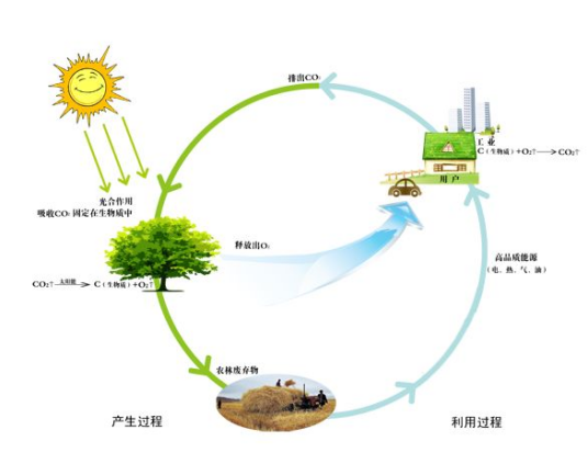 生物能源(能源种类)