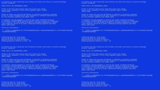 电脑故障（理学领域术语）