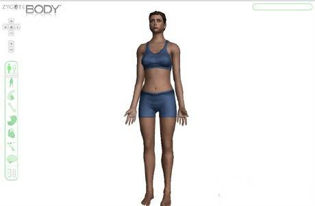 谷歌人体浏览器