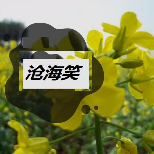 沧海笑（歌曲）