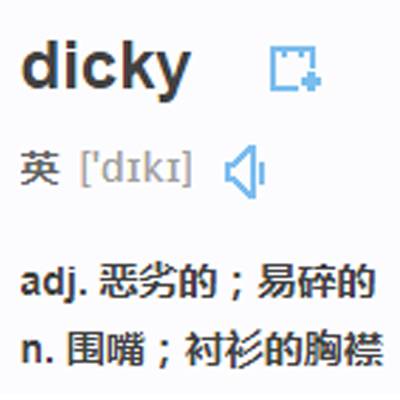 dicky（英语单词）