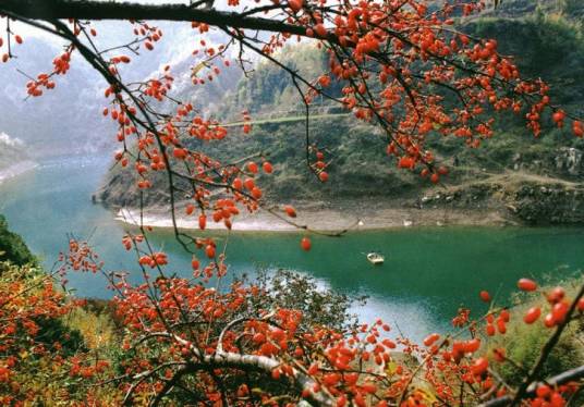 蟒山（山西省阳城县与河南省济源市交界处山峰）