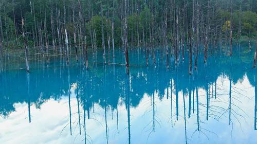 清池（梅尧臣诗作）