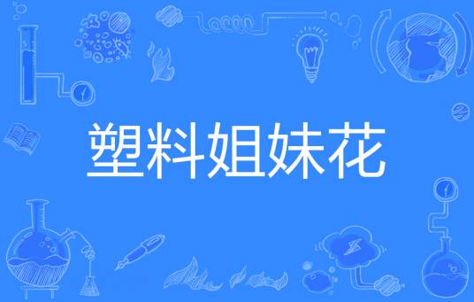 塑料姐妹花（网络流行词）