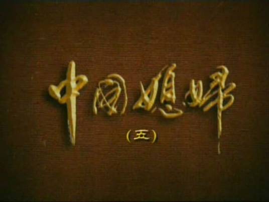 中国媳妇(2003年罗福执导家庭伦理系列剧)