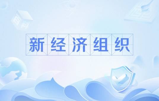 新经济组织