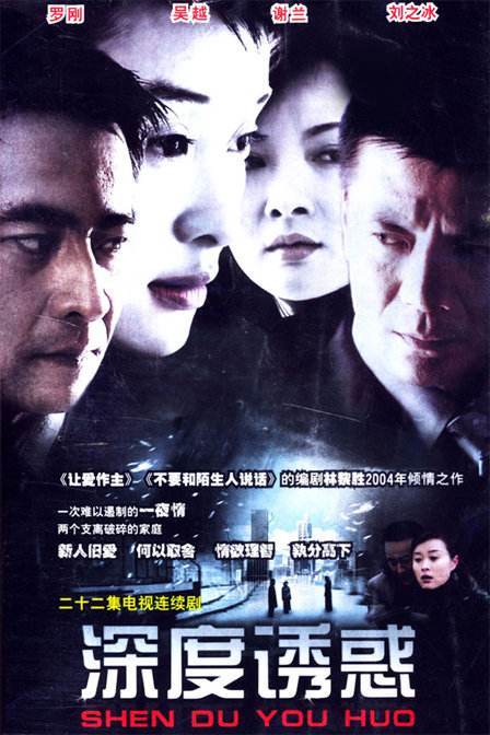 深度诱惑（2004年曾晓欣执导的电视剧）