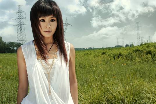 任真(中国内地女歌手、国家一级演员)