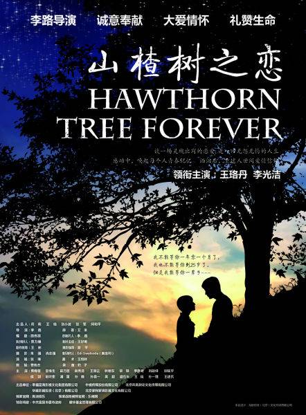 山楂树之恋(2012年李路执导的爱情剧)