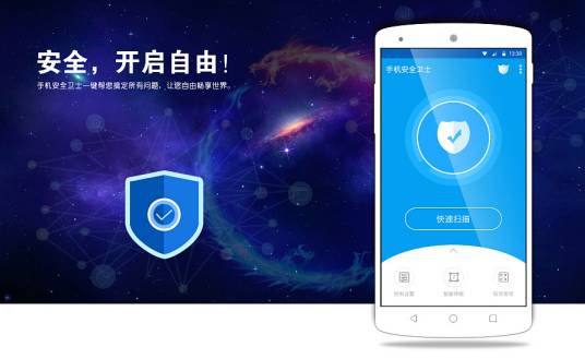 软件安全（计算机领域术语）