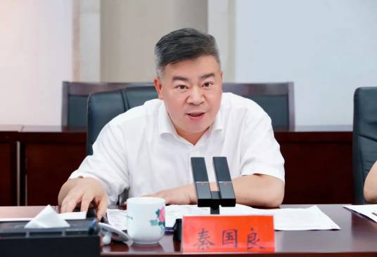 秦国良（湖南省长沙市望城区委书记）