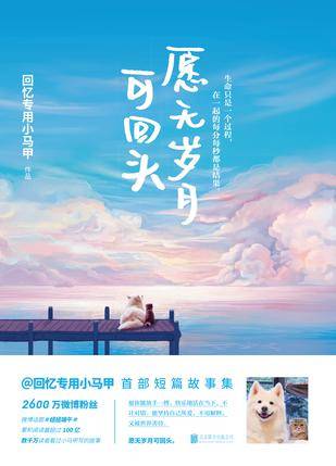 愿无岁月可回头(2016年北京联合出版公司出版的图书)