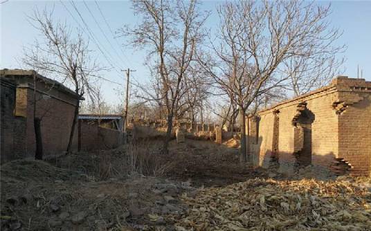 杜志浩(“辱母案”中被刺死者)