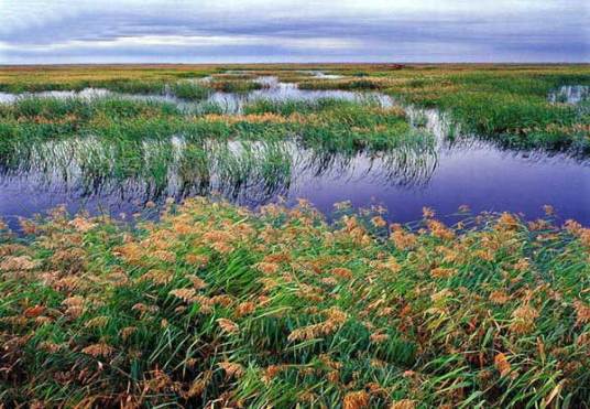 北京百花山国家级自然保护区