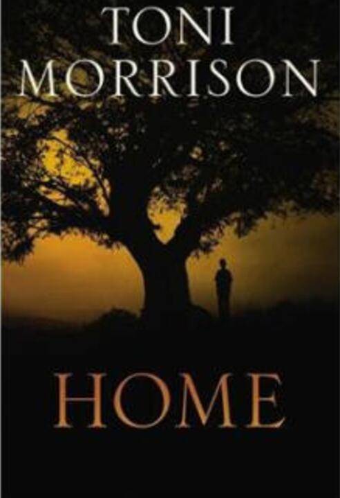 家园（托妮·莫里森创作中篇小说）