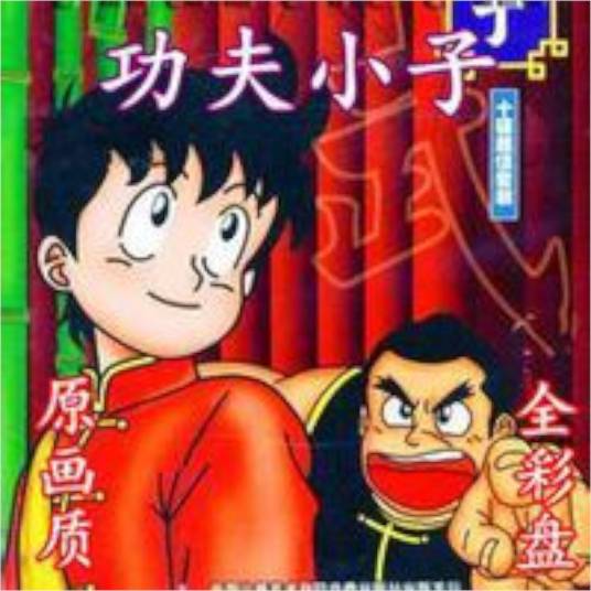 功夫小子(日本大庭寿太郎执导的动画片)