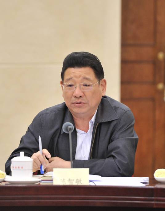 陈智敏(十三届全国政协社会和法制委员会副主任)