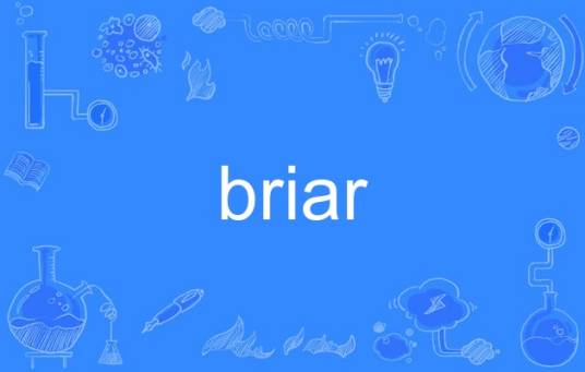 briar