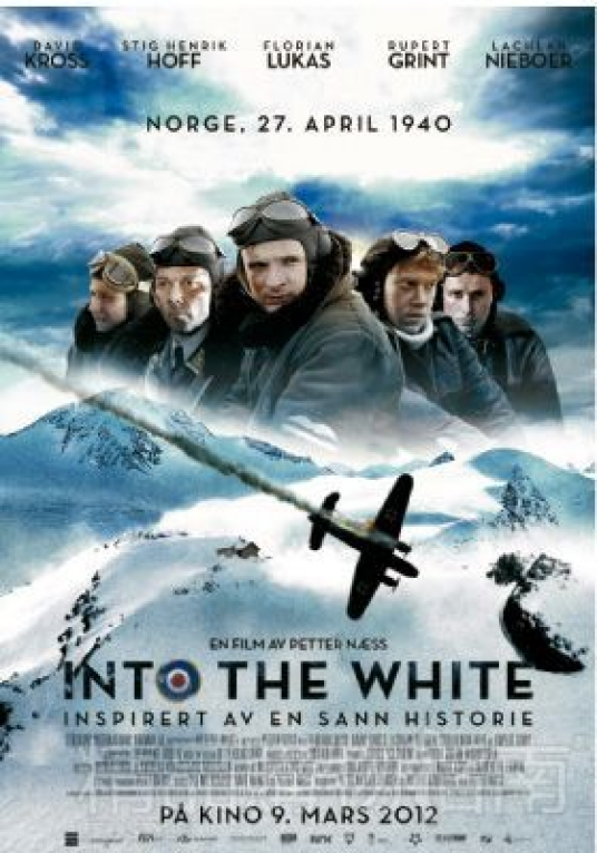 荒漠求生(2012年彼特·纳斯导演的电影)