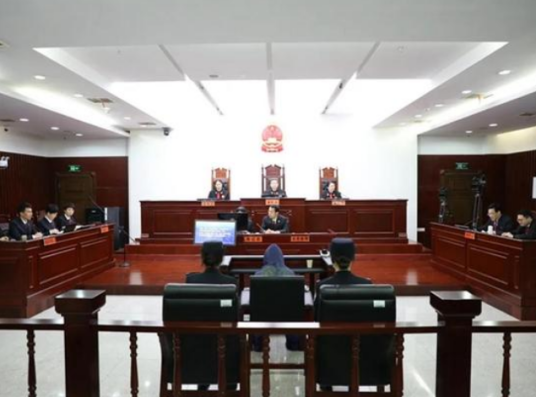 向慧(湖南高院女法官遇害案罪犯)