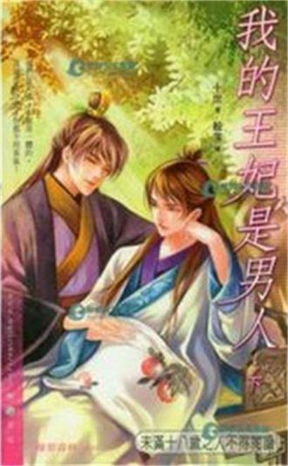 我的王妃是男人