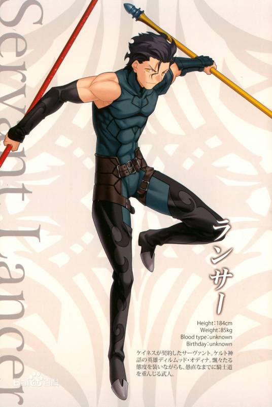 迪卢木多·奥迪那(日本轻小说《Fate/Zero》中的角色)