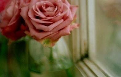 玫瑰传奇（法国作家基洛姆·德·洛利思所作长诗）