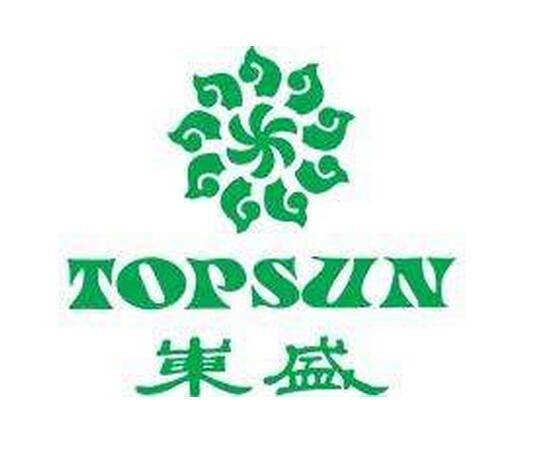 东盛集团(1994年创立的医药公司)