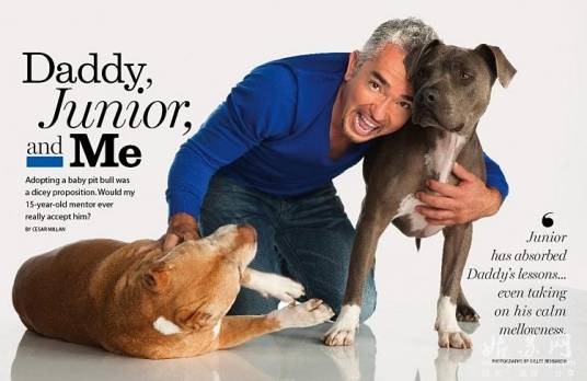 狗语者(国家地理频道播放的节目)