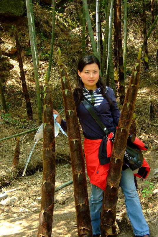 马媛媛(重庆美术家协会会员)