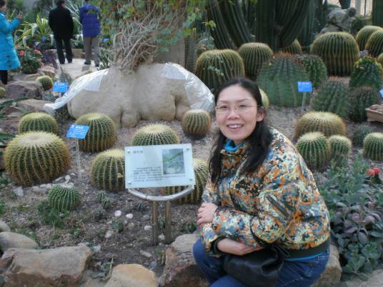 何玲(中国药科大学教授)