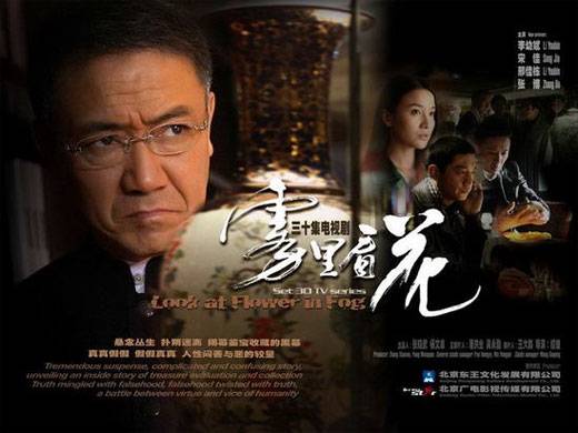 雾里看花(2009年李幼斌主演电视剧)