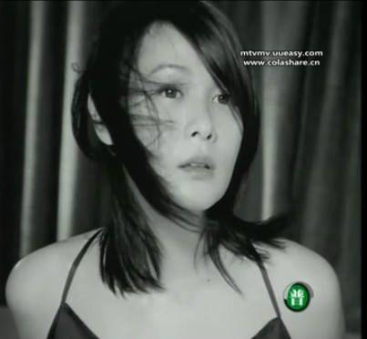 我们没有在一起(2010年刘若英演唱歌曲)