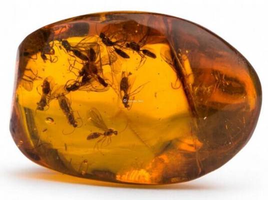 琥珀(佛教七宝之一)