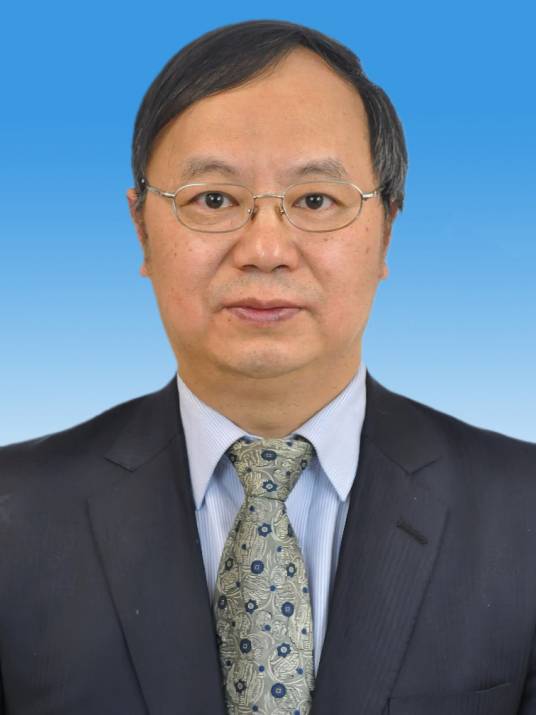 宋永华（澳门大学校长，英国皇家工程院院士）