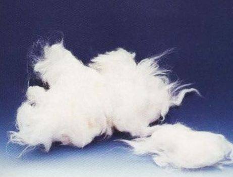 兔毛（兔子的毛发）