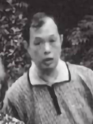 金捷（表演艺术家金焰与秦怡的儿子）