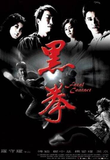 黑拳（2006年吴京、杨爱瑾主演电影）