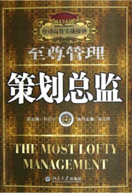 策划总监（2005年北京大学出版社出版的图书）