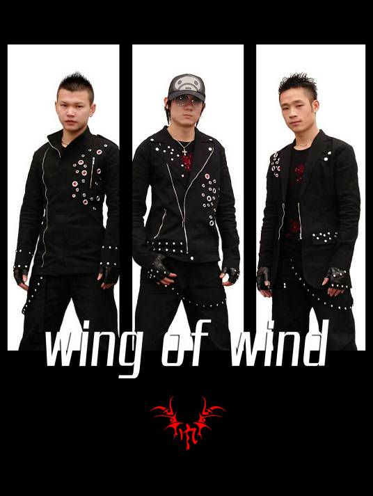 风之翼(音乐组合)