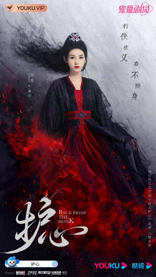 雁回(电视剧《护心》中的女主角)