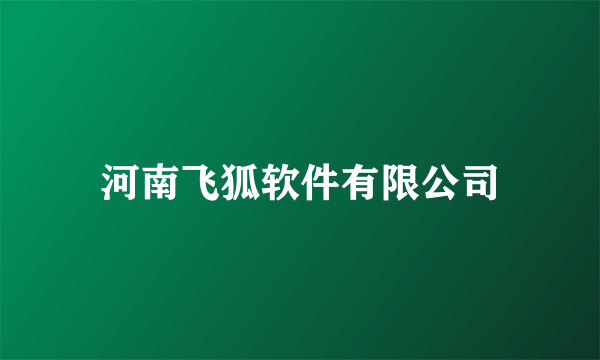河南飞狐软件有限公司