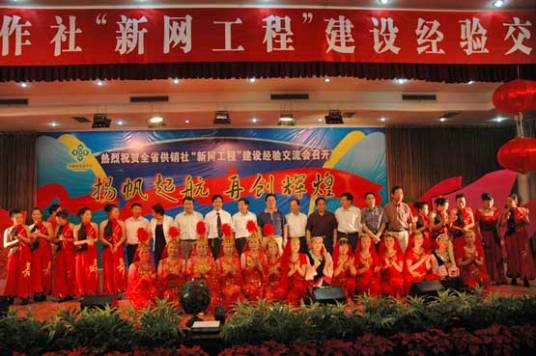 新网工程