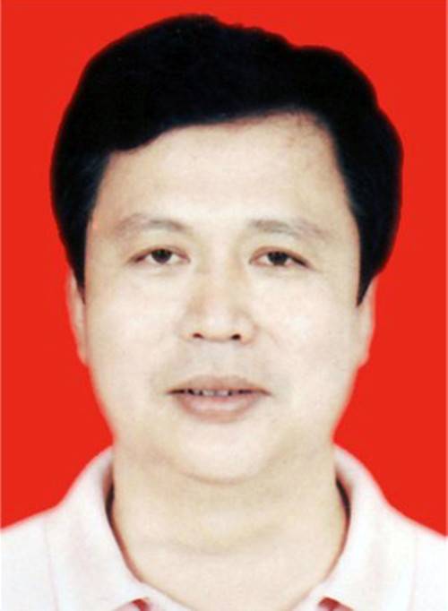 戴文(广东省湛江市徐闻县人大常委会副主任)