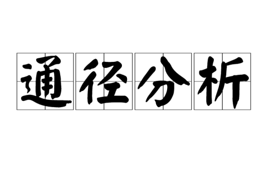 通径分析