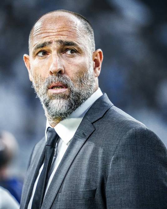 伊戈尔·图多尔