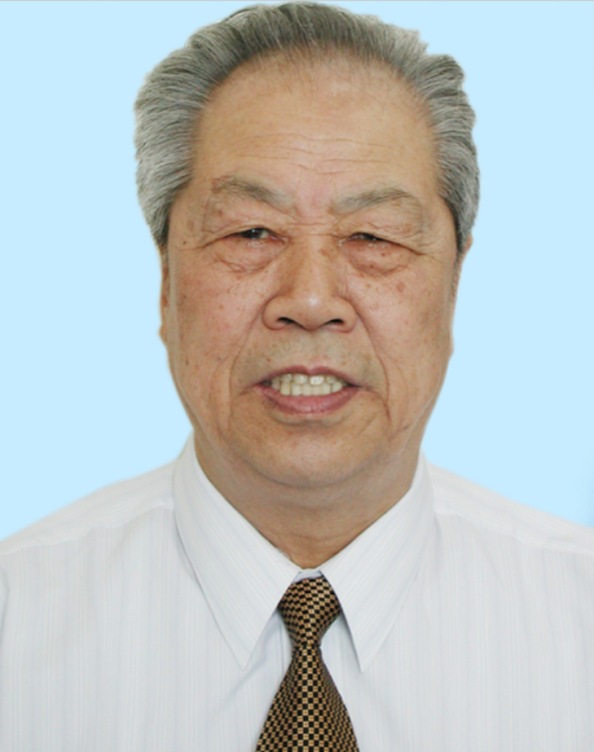 黄文虎(中国工程院院士、机械动力学专家)