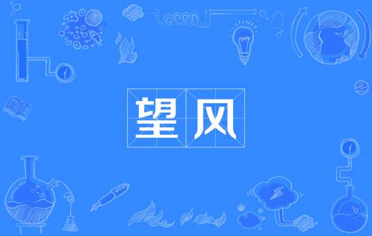 望风（词语概念）