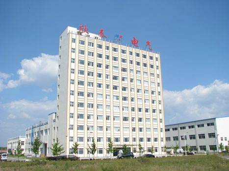 丹东欣泰电气股份有限公司