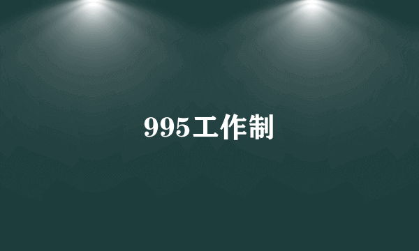 995工作制